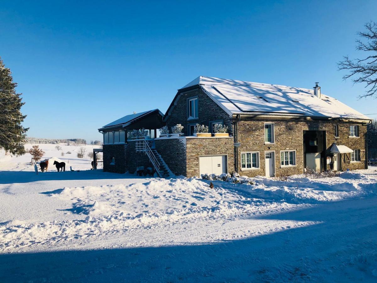 B&B Pegasus II - Chambre Familiale De Luxe Avec Sauna Privatif Виелсалм Екстериор снимка